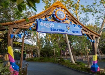 New Meals, Amusing & Leisure for Bluey’s Perfect Day Ever