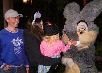 Disney’s Certain New Adjustments Aimed toward Attracting Extra Heart Elegance Households