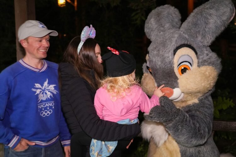 Disney’s Certain New Adjustments Aimed toward Attracting Extra Heart Elegance Households