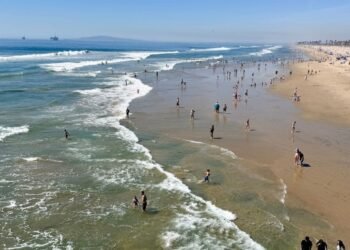 Why You Will have to Discuss with Huntington Seaside Seashores