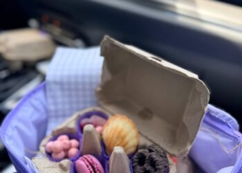 50 Excellent Street Travel Snacks! Pack a Connoisseur Unfold – The Shuttle Chunk