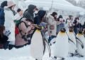 Antarctica: Environmental Dangers Greater with the Numbers of Vacationers