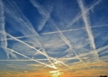 Eco-friendly Air Trip Guidelines for Firms