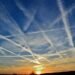 Eco-friendly Air Trip Guidelines for Firms