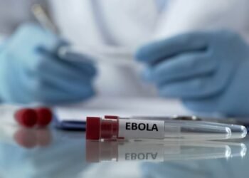The Safari Season in East Africa Is Threatened by way of Ebola