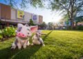 Disney Global’s Reimagined Studio Lot & New Display Cushy Opened. Take a First Take a look at the Large Placemaking Win!