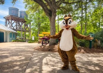 Disney Global Provides Loose Lodge & Room Facilities for Younger Households