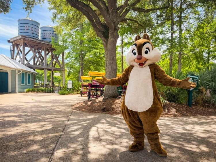 Disney Global Provides Loose Lodge & Room Facilities for Younger Households