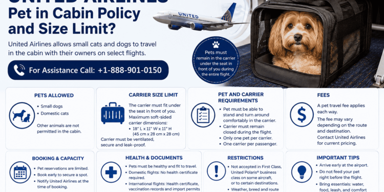 What Is the United Airways Puppy in Cabin Coverage and Dimension Prohibit?