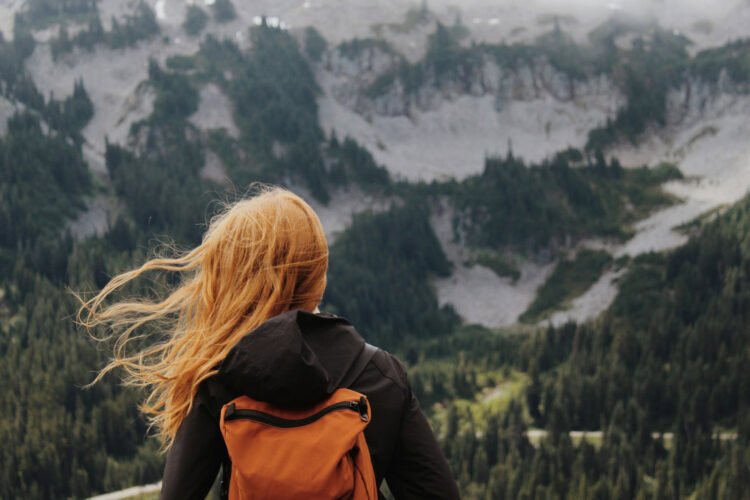 What Makes Go back and forth More uncomplicated for the Simply Wired Traveler?
