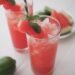 Watermelon Limeade – The Trip Chunk