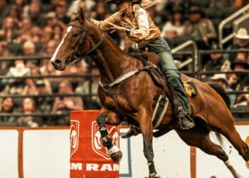 What’s the Canadian Finals Rodeo? (Information & The best way to Attend)