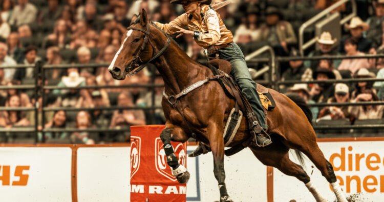 What’s the Canadian Finals Rodeo? (Information & The best way to Attend)