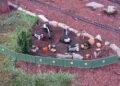 ‘New Magic’ in Germany Teach Lawn Brings Again Dreamfinder to EPCOT Early.