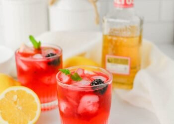 Blackberry Tequila Spoil Cocktail – Meals A laugh & Far off Puts