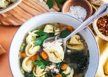 Hen Tortellini Soup – The Go back and forth Chew