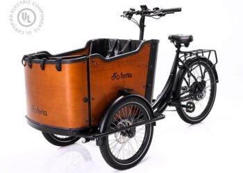 Electrical Bicycle With Passenger Seat: A Sensible Information for Two-Individual Rides