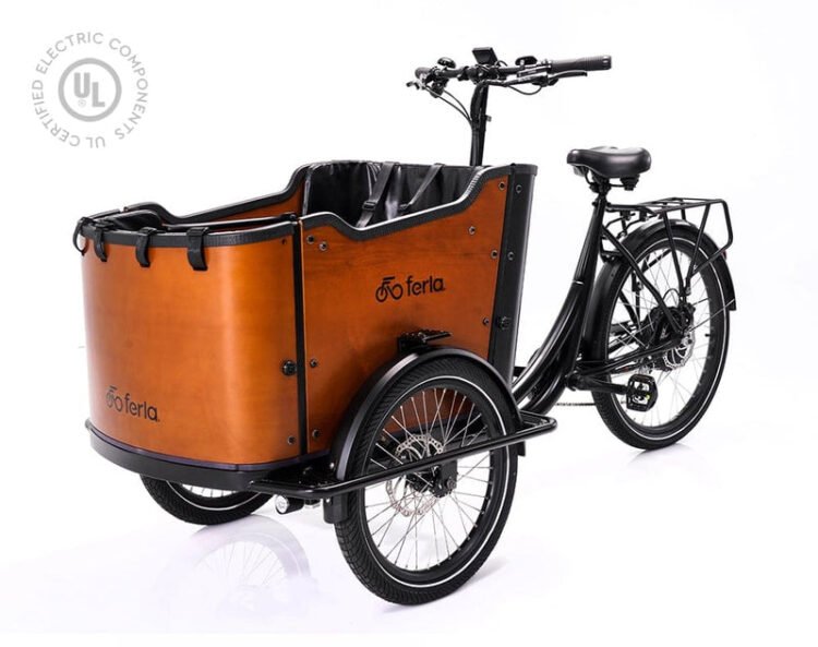 Electrical Bicycle With Passenger Seat: A Sensible Information for Two-Individual Rides