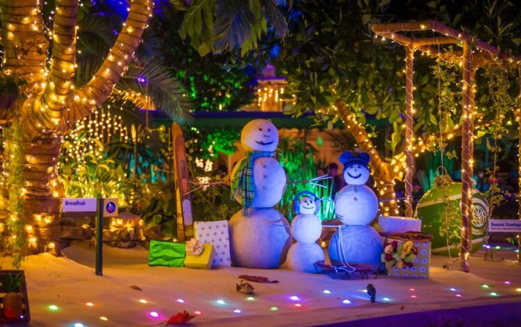 2026 Dates & Main points for At the back of the Seeds Glimmering Greenhouses Christmas Trip Excursion at EPCOT