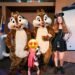 Wonder Comfortable Opening for Magic of Disney Animation Enchantment at Hollywood Studios