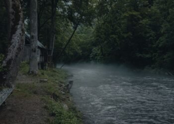 Making plans a Smoky Mountains Tenting Go back and forth That In fact Feels Enjoyable