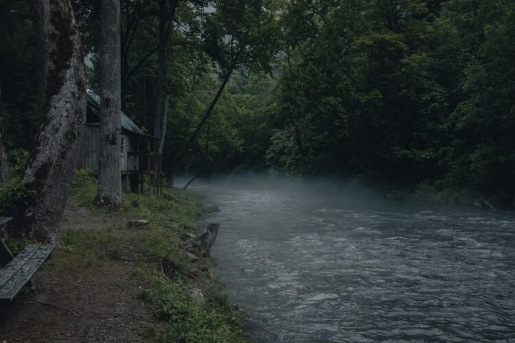 Making plans a Smoky Mountains Tenting Go back and forth That In fact Feels Enjoyable