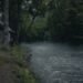 Making plans a Smoky Mountains Tenting Go back and forth That In fact Feels Enjoyable